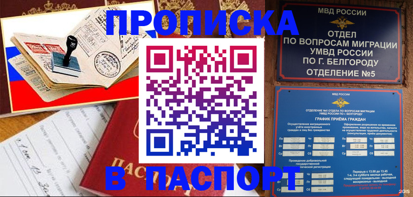 временная регистрация для всех в Шадринске